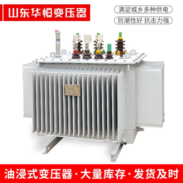 S13-10000/35衡南衡南衡南电力变压器